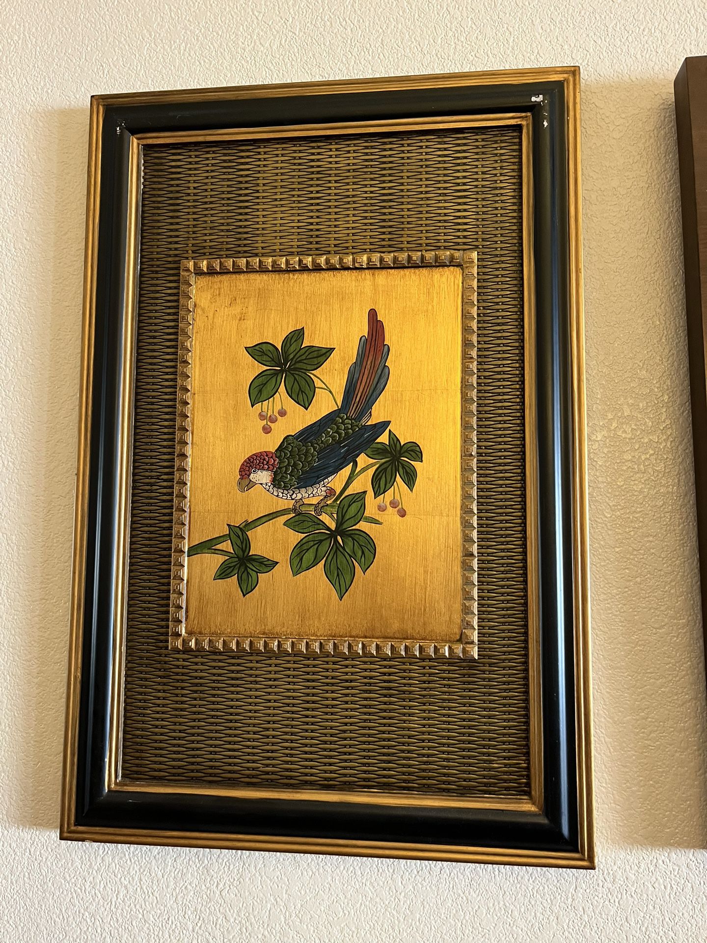 vintage “ Tommy Bahama” style Bird Pictures
