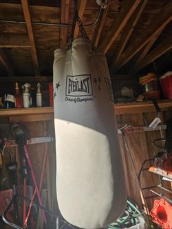 🥊 Everlast Heavy Punching Bag – Excellent Condition – $120 OBO