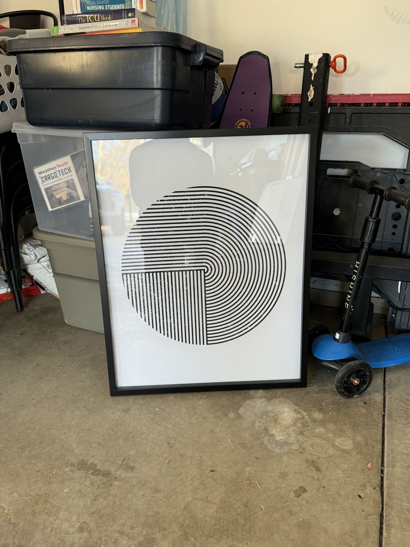 Framed Picture