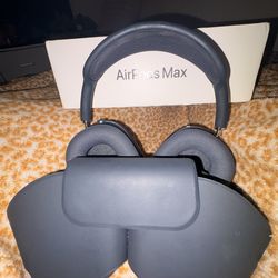 Apple AirPod Maxes