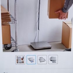 Scale (New)