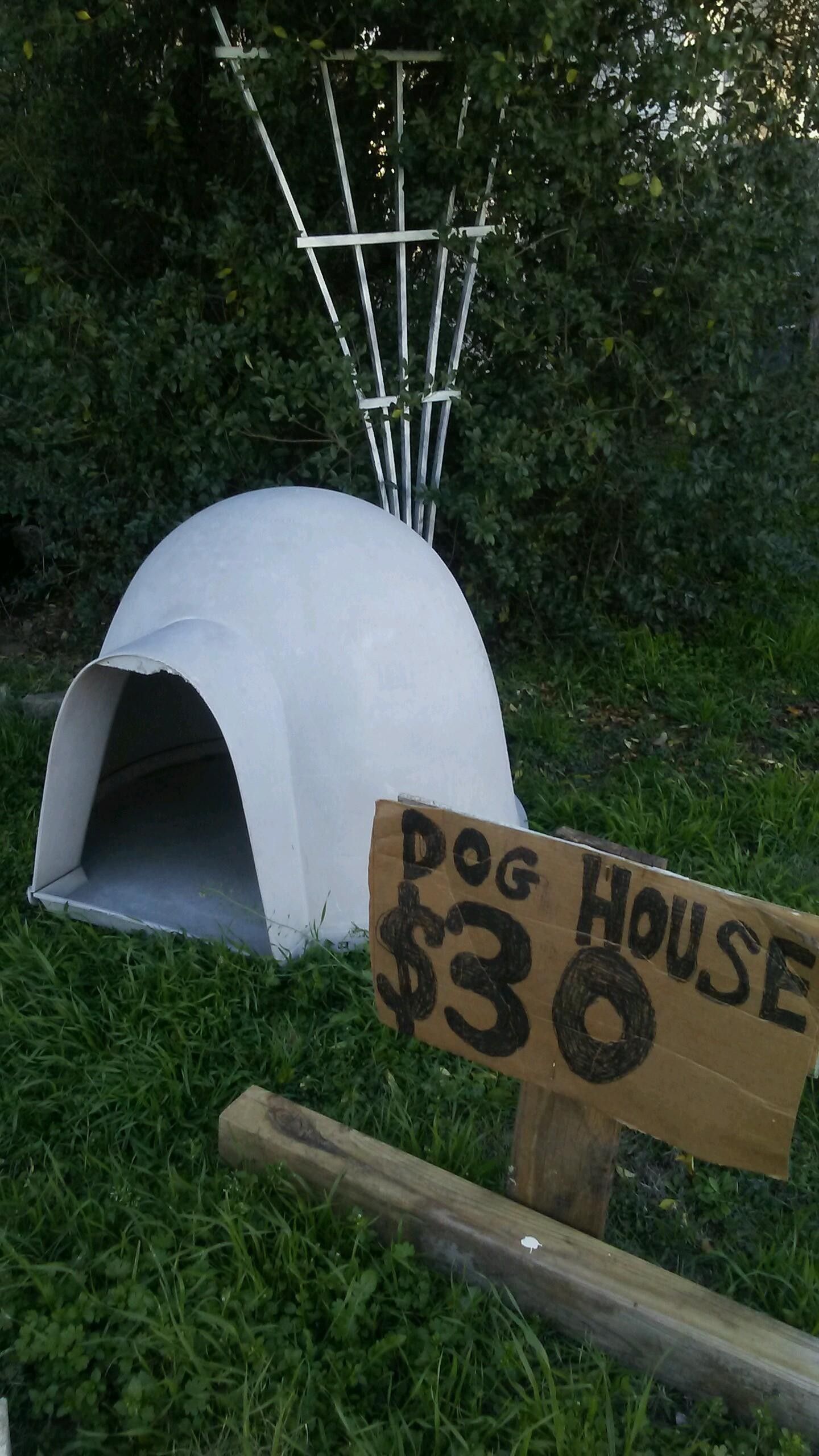 Igloo Dog House.