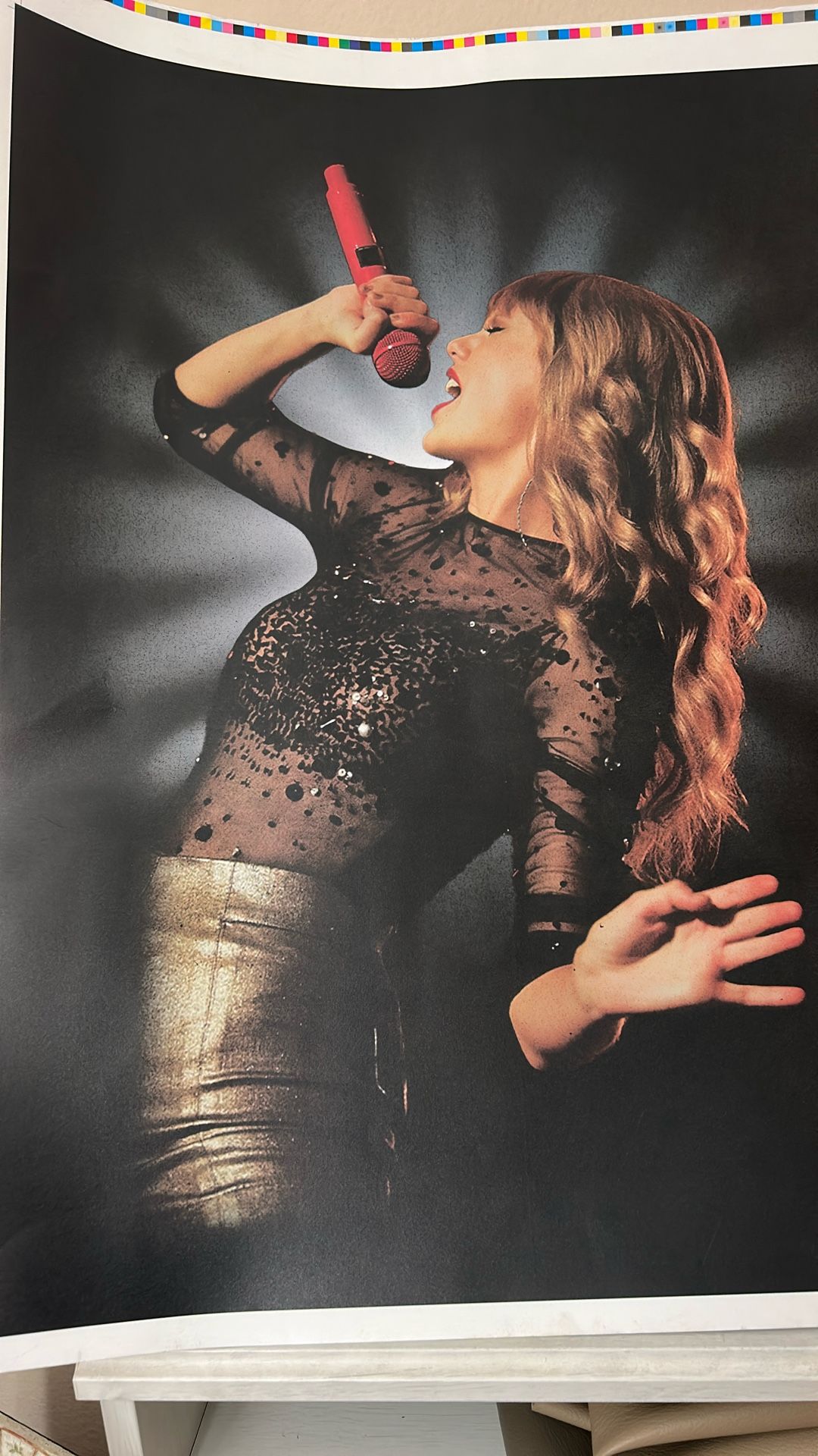 Taylor Swift Poster Print ***Rare***