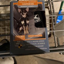 little dog harness 