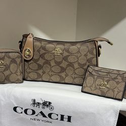 Coach Brown Bag Wallet & Card Holder 