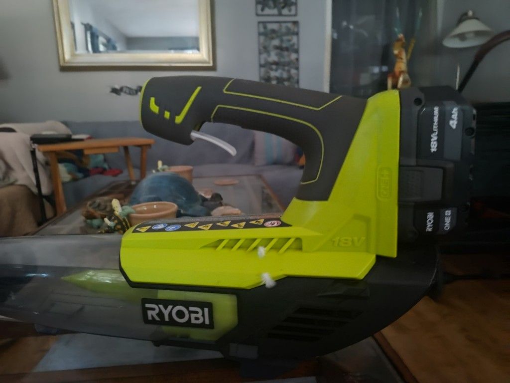 18 Volt Ryobi Leaf Blower 
