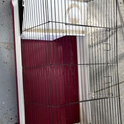 Rabbit Cage It Is Big 