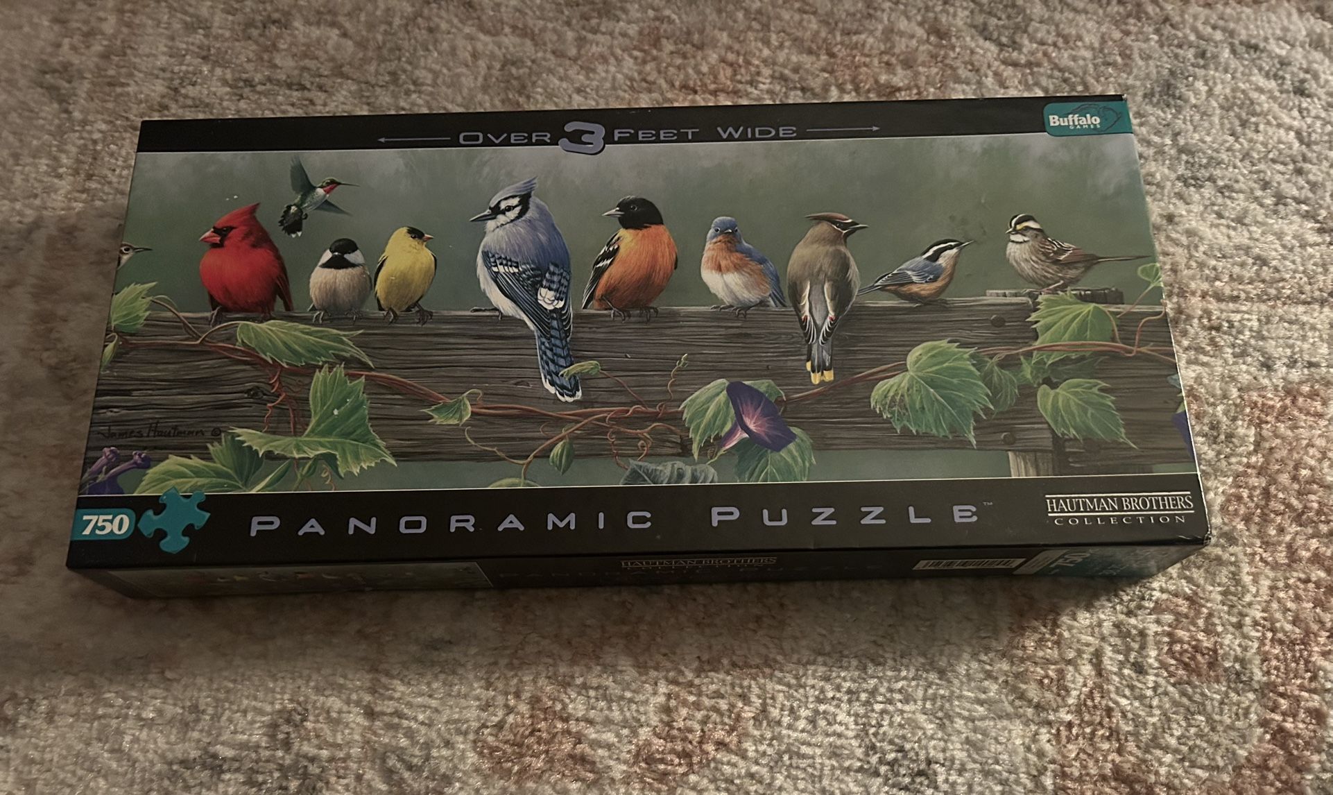 Panoramic bird puzzle