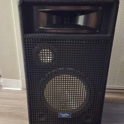 DJ Loudspeaker 