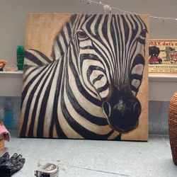 Zebra Picture 