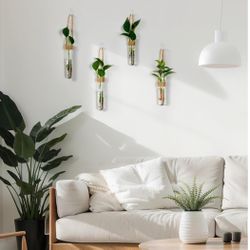  12 Pack Plastic Hanging Propagation Tubes / Vases