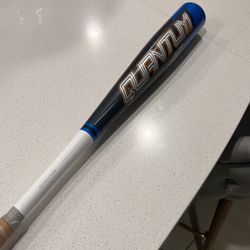 Easton -3 Baseball Bat