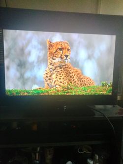 32-in insignia 1080p LED flat screen TV