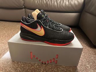 LeBron 20 Size 9.5