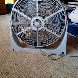 Big Fan