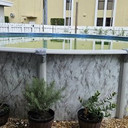 Overground Pool
