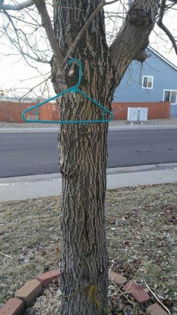 Camouflage jacket