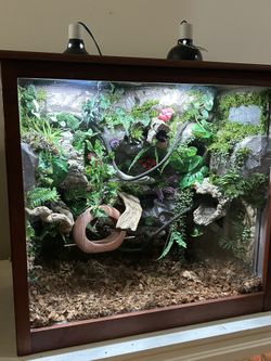Custom Reptile Enclosure