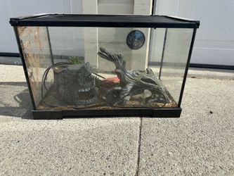 Lizard tank