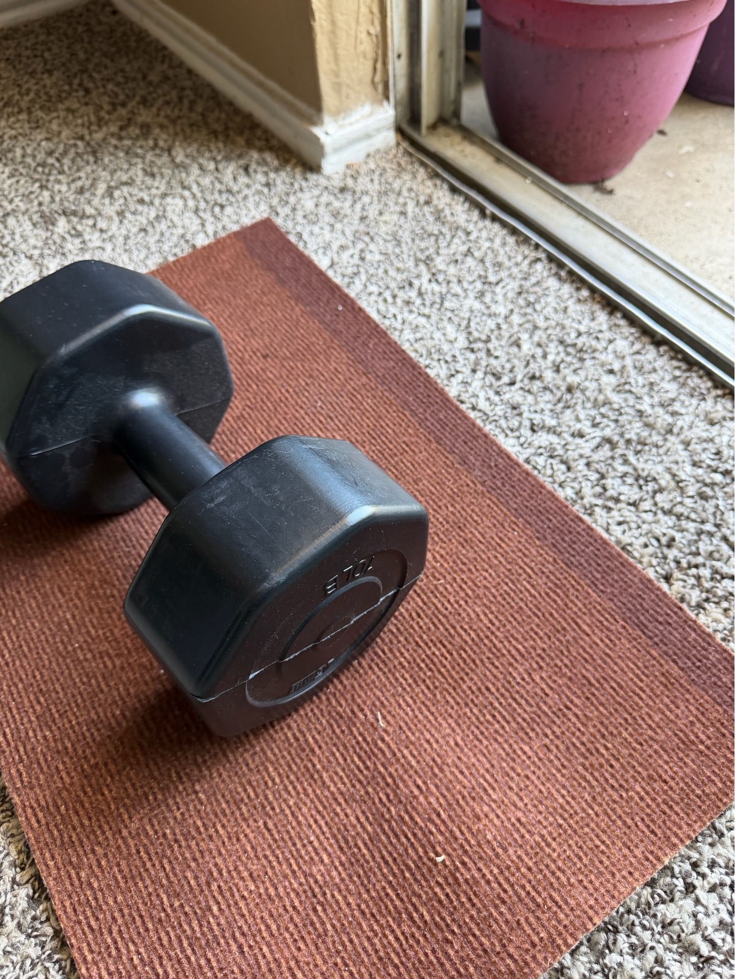Move out sale - single 10lb dumbbell