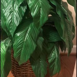 Artificial Tree 29”