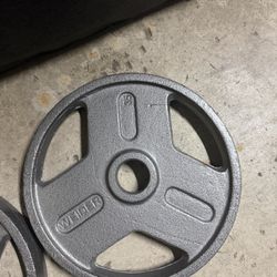 Weirder 35lb Weight X2 