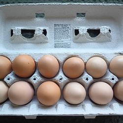 Organic eggs