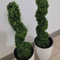 PAIR of 3ft Faux Boxwood Spirals in 16in White Planters (2 for $90) @ Lasting Creations