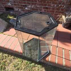 20 Gallon hexagon shaped vertical tank