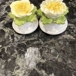 Salt And Pepper Shakers/ Bone China