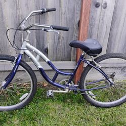 Beach Cruiser Bike