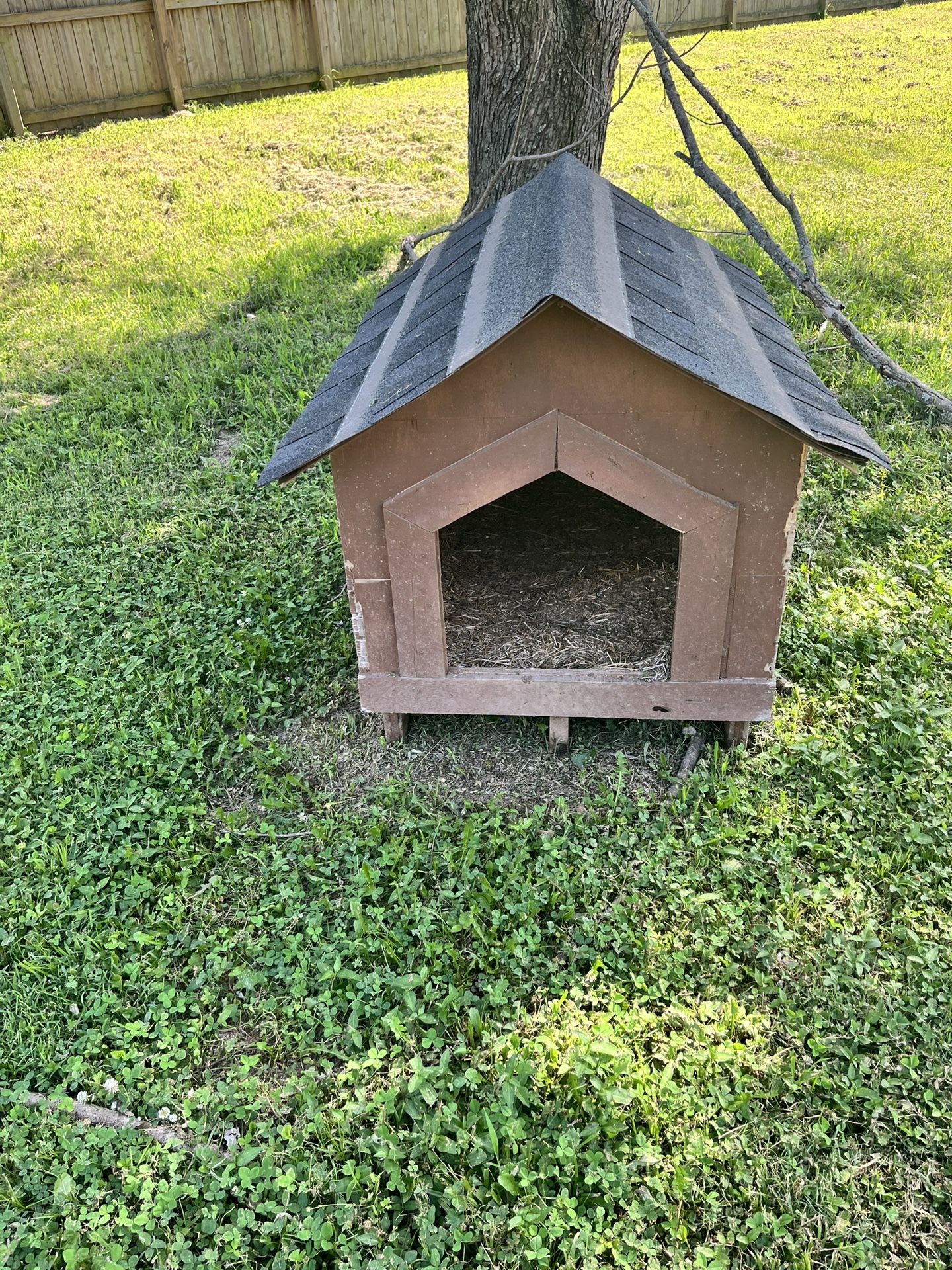 Dog House