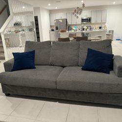 Gray Sofa 