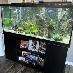 125 Gal Fishtank With Stand, (2) Fluval 306 filters, LED LIGHTS And Timer 