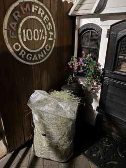 Timothy Hay for Pets