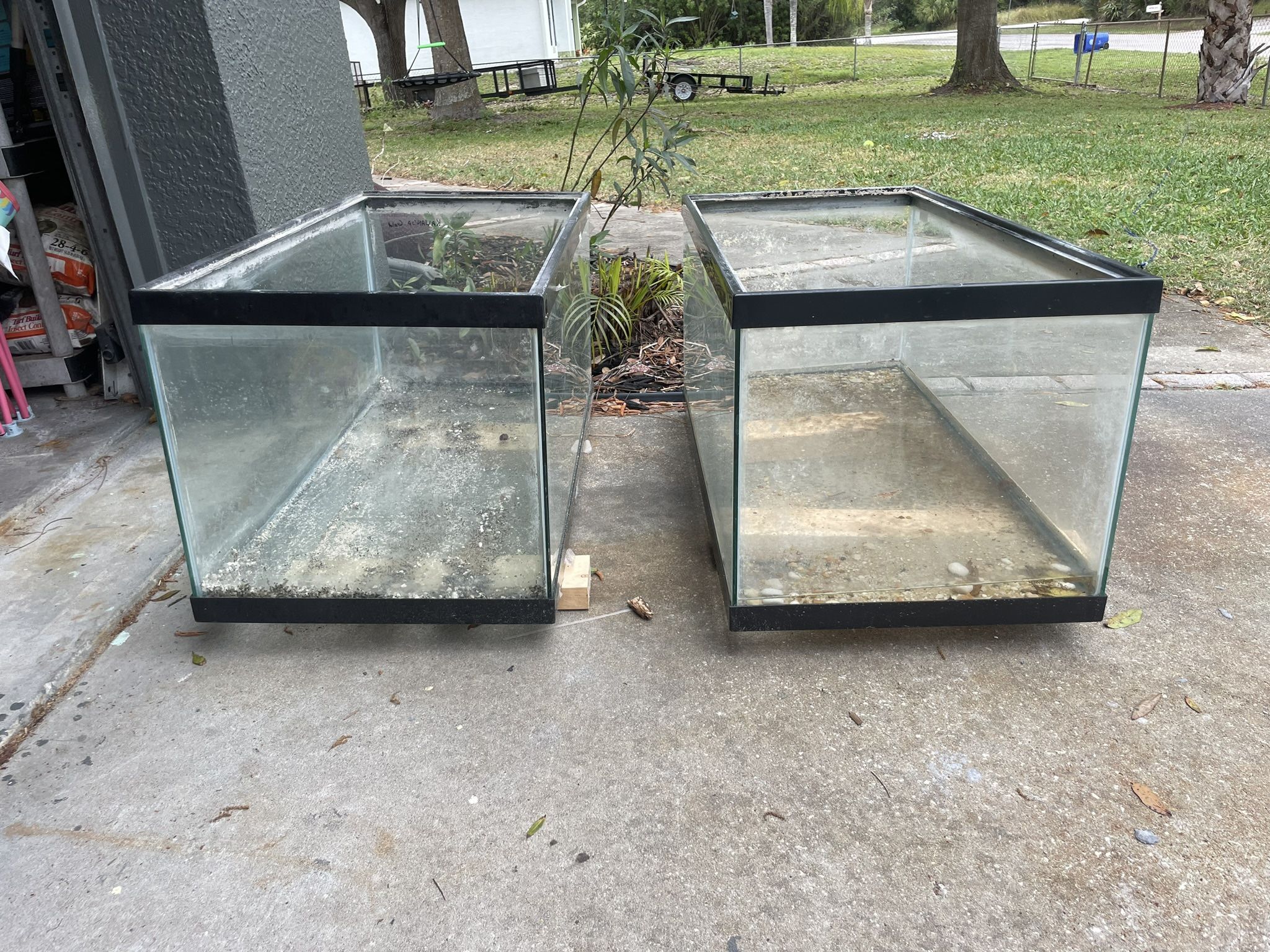 40 Gallon Aquariums