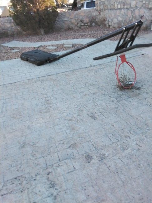 Lifetime Basketball Hoop