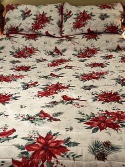 Winter Time/Christmas Time Comforter & Two Shames