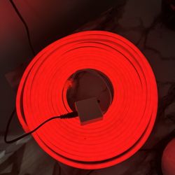 Neon Rope Lights (20ft) 