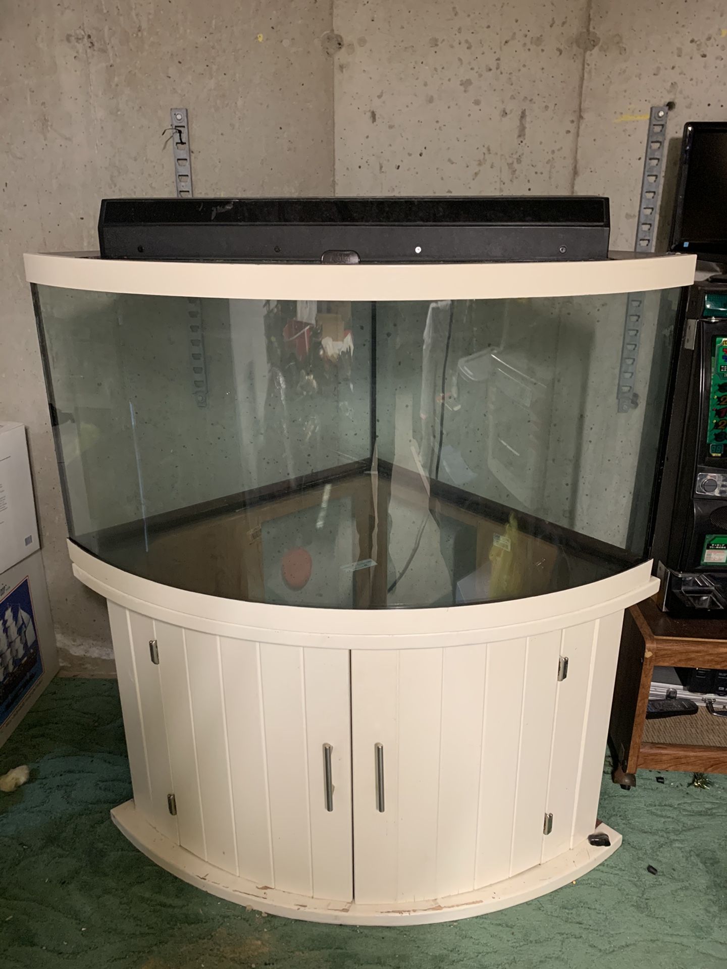 100 Gallon Fish Tank. Comes With Tank, Stand, Lid, And Light.