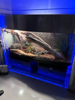 Reptile Tank