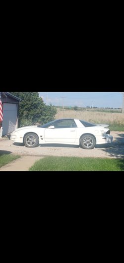 2001 ws6 transam