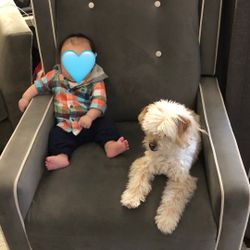 Free Recliner Rocking Chair