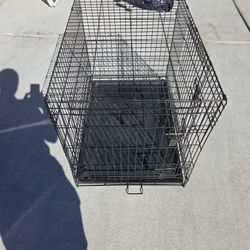 Dog Kennel 