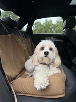 Backseat  Dog Cover Bed