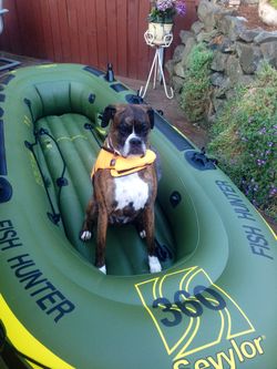 Inflatable Fish Hunter Boat with customized carpeted floor for Sale in  Bothell, WA - OfferUp