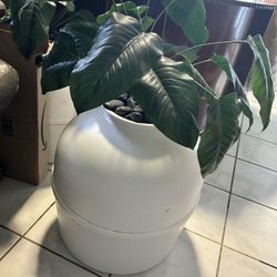 Two Used Hidden Plant Litter Boxes For Cats