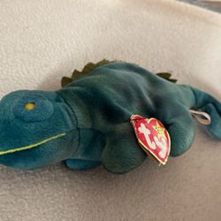 IGGY THE BENIE Baby……