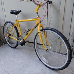 Freshly Rebuilt 1987 Raleigh Mountain Tour Teton - 17.5"(Small-med) 