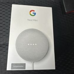 Google Mini Nest